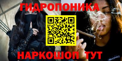 СК Донецк