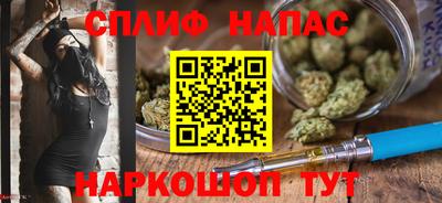 СК Донецк