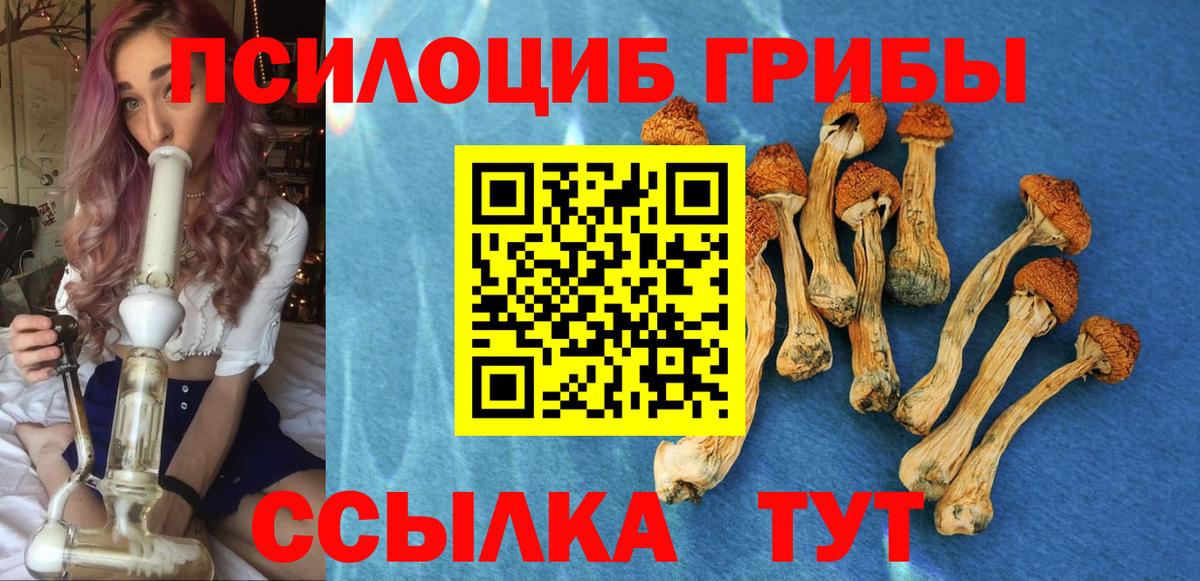 Галлюциногенные грибы прущие грибы Людиново