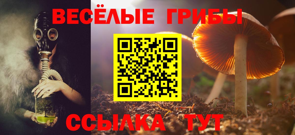 Галлюциногенные грибы мицелий  Вход с VPN  Людиново 
