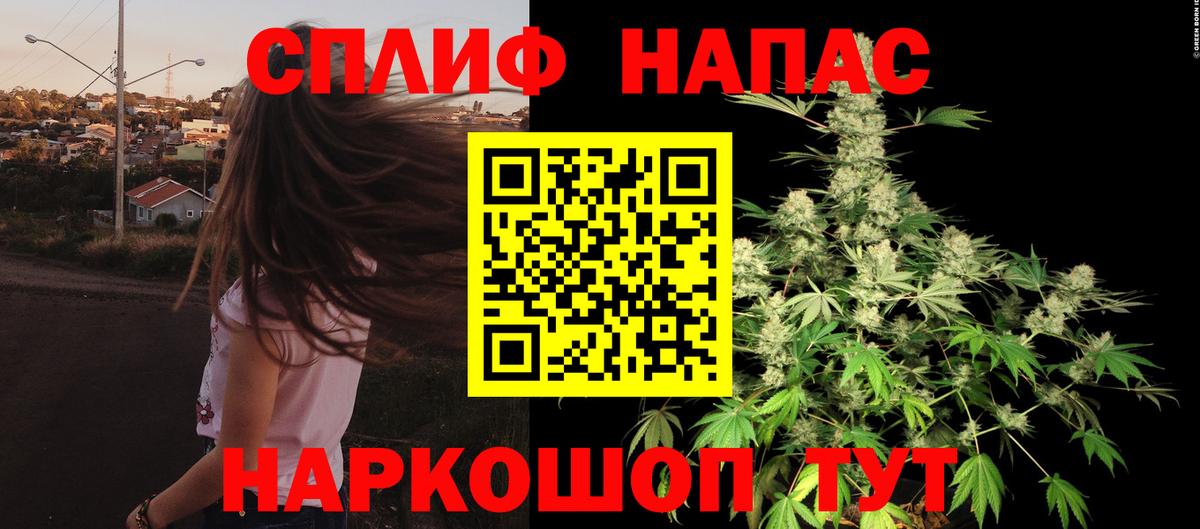 Бошки Шишки план Людиново